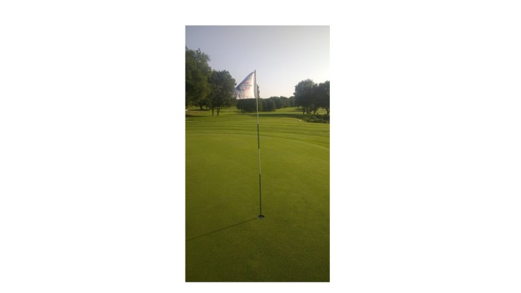 Using Attraxor® has helped to tackle the large quantities of Poa annua and make the greens at Dudsbury Golf Course more than 70% bent grass. 